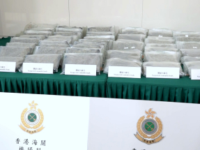 海關打擊跨境販毒檢240公斤大麻花　拘10人