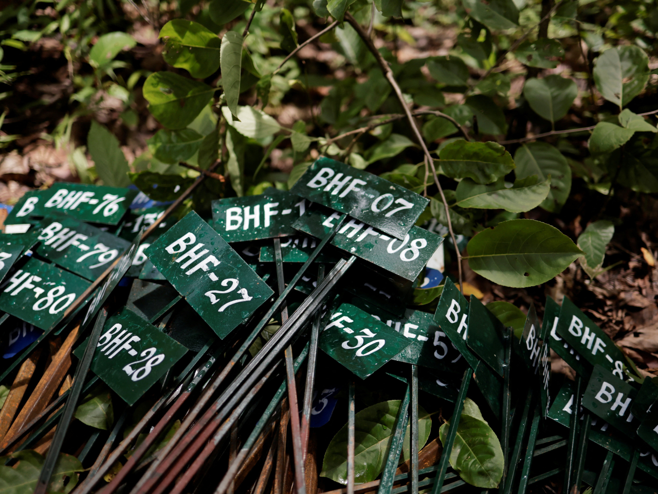 Nepali authorities say every burial site was carefully recorded, with identification markers placed both above and below ⁠ground. Photo: Reuters