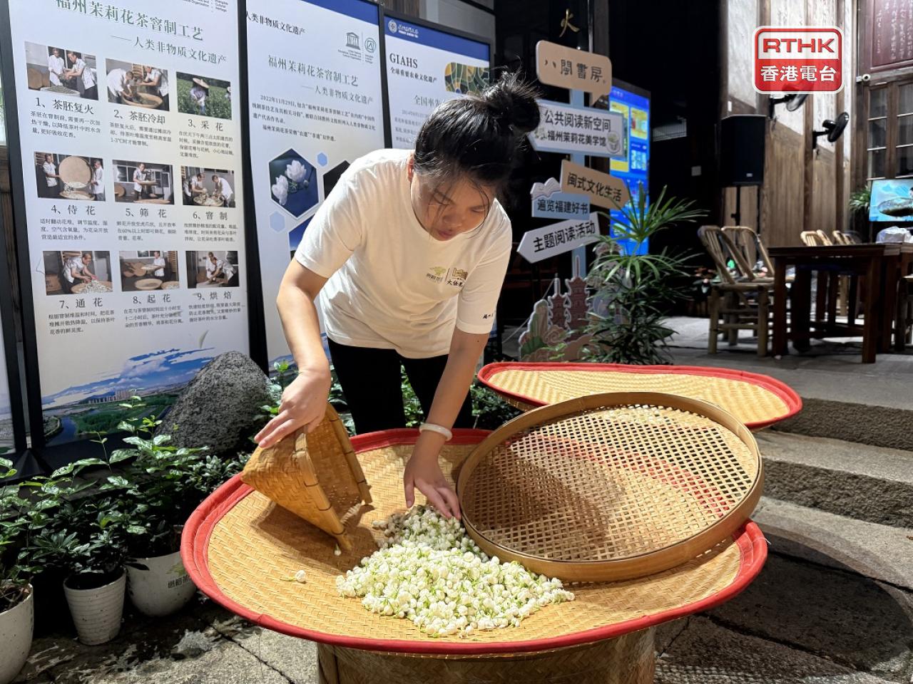 在「福州茉莉花茶美學館」可認識茉莉花茶的製作技藝。（任浩鋒攝）