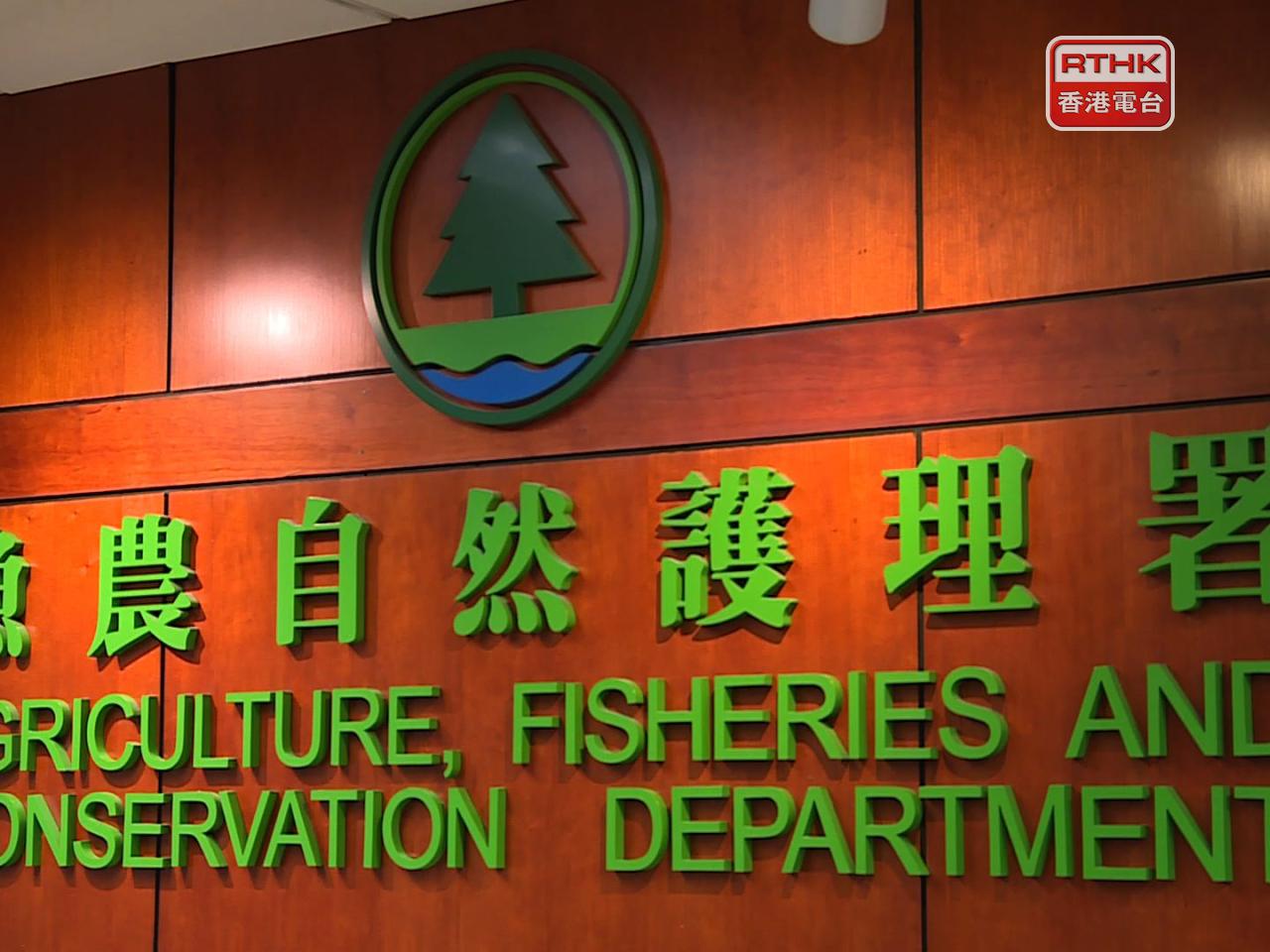 漁護署表示，執法時，一直借鑑國際經驗，透過目測個別犬隻的外觀比例及體格結構等特徵，判定狗隻是否屬於格鬥狗隻。（港台圖片）