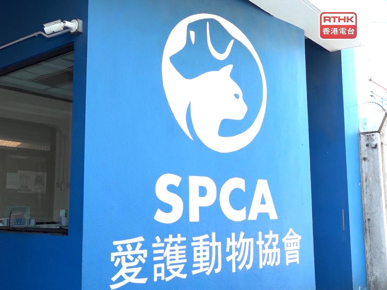 The Society for the Prevention of Cruelty to Animals says the goal is to reassure the public about the existing framework and prevent an overreaction to recent unfortunate events. File photo: RTHK