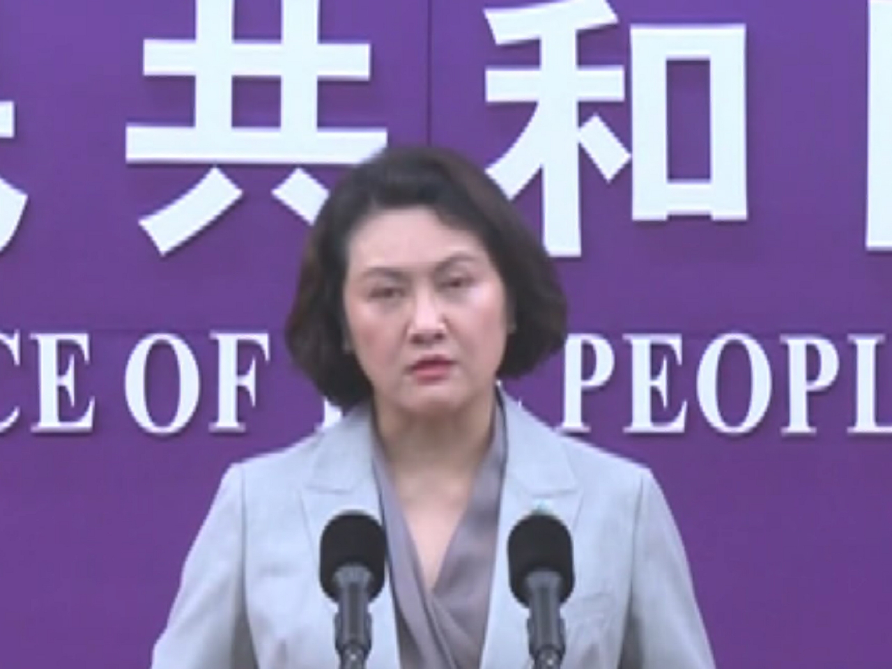黃玲指中方將堅定維護中方企業及公民正當合法權益。（央視新聞）