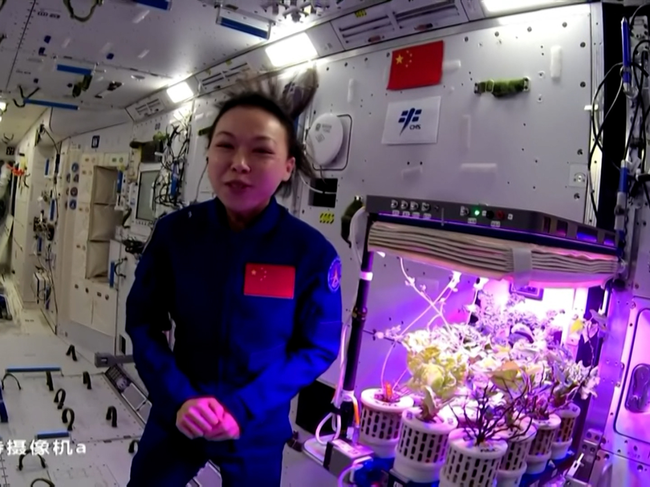 黎家盈介紹「太空菜園」。