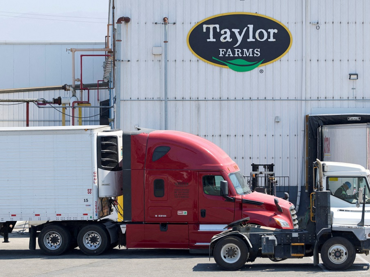 The price of diesel, the fuel needed for road hauling and agriculture, has rocketed to a new record in the United States this week. File photo: Reuters