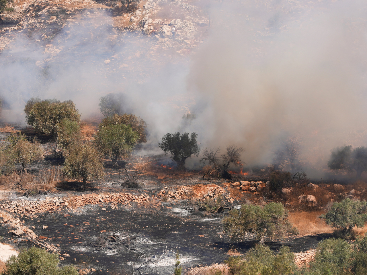 Olive groves burn in Burqa in the Occupied West Bank reportedly by Israeli militant settlers. File photo: Reuters