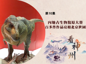 【足本】看神州｜內地首辦古生物復原大賽　寧波理髮店疑騙財