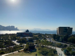 Sports, culture key to HK's global status: chambers