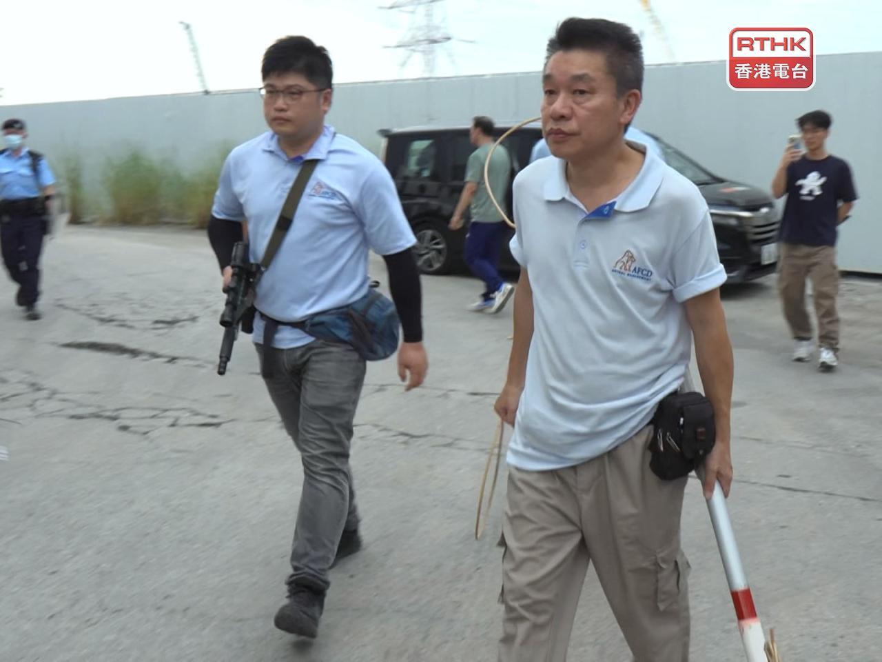 漁護署人員手持麻醉槍及捕捉器具。（鍾家銘攝）