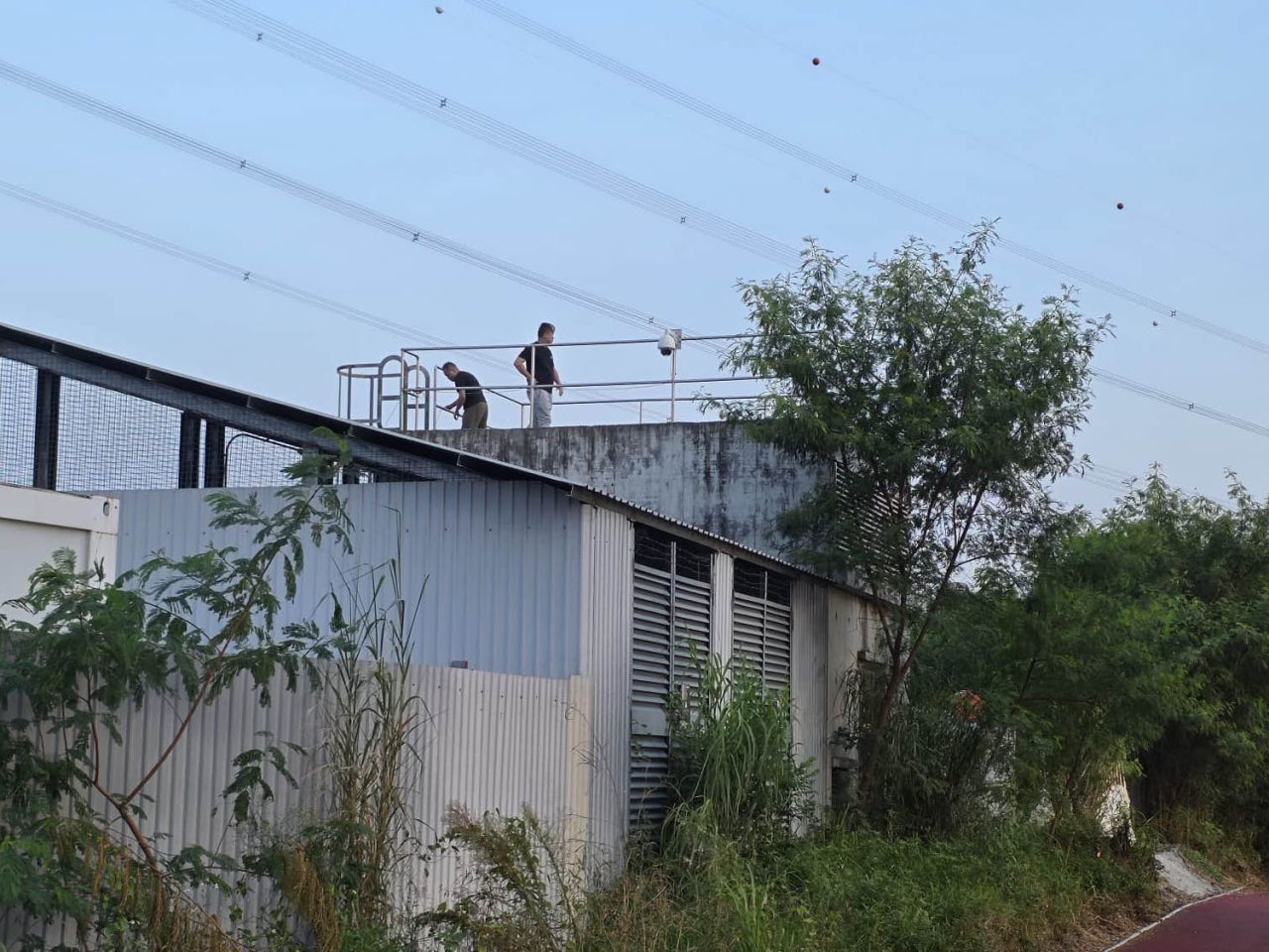 警方在現場附近一帶安裝了4組臨時閉路電視，以追查流浪犬隻蹤跡，提升捕捉行動的效率。