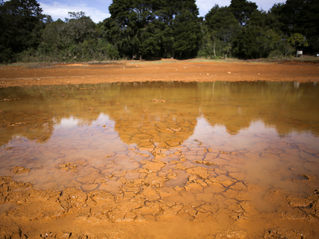 The UN's World Meteorological Organization has warned that the current El Nino is forecast to be the strongest since comparable records began four decades ago. File photo: Reuters