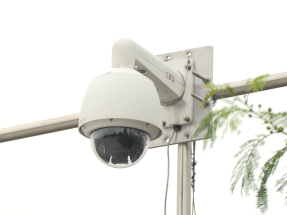 鄧炳強：已安裝閉路電視監察狗隻有否出現