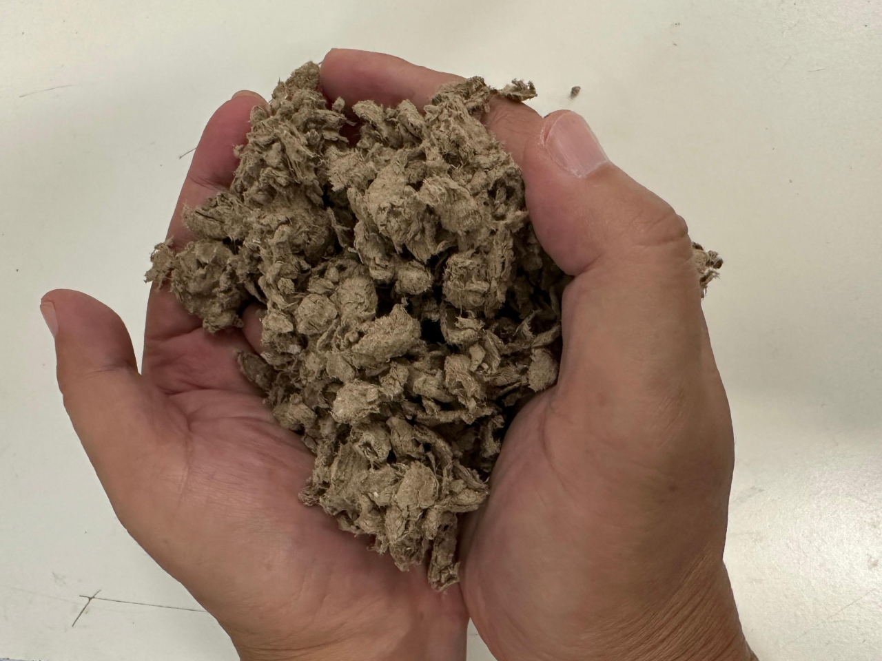 環保署表示，紙漿生產設施已投入服務近兩個月，整體運作順暢。圖示製成的再生紙漿。(政府新聞處)