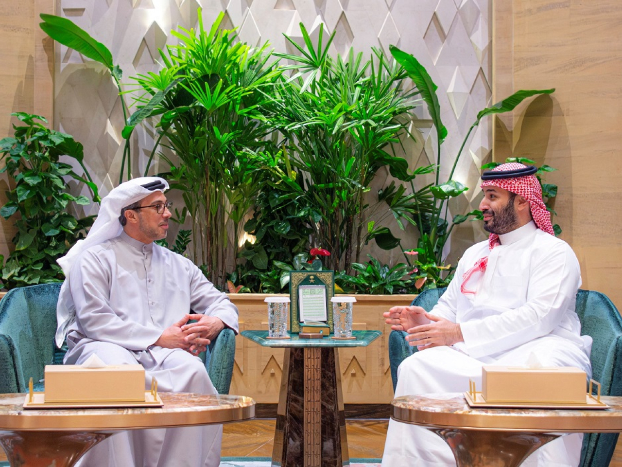 The crown prince and the vice president met to "review brotherly bilateral relations and regional developments." Photo: Reuters