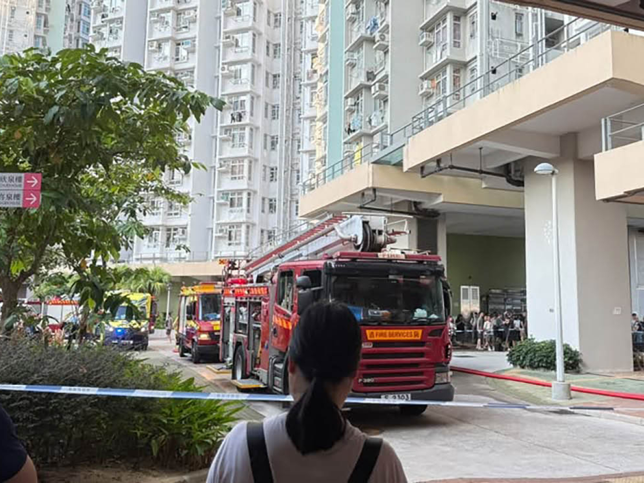 警方在早上近7時接報，欣泉樓有單位起火，消防及救護人員到場，其後將火救熄。（網上圖片）