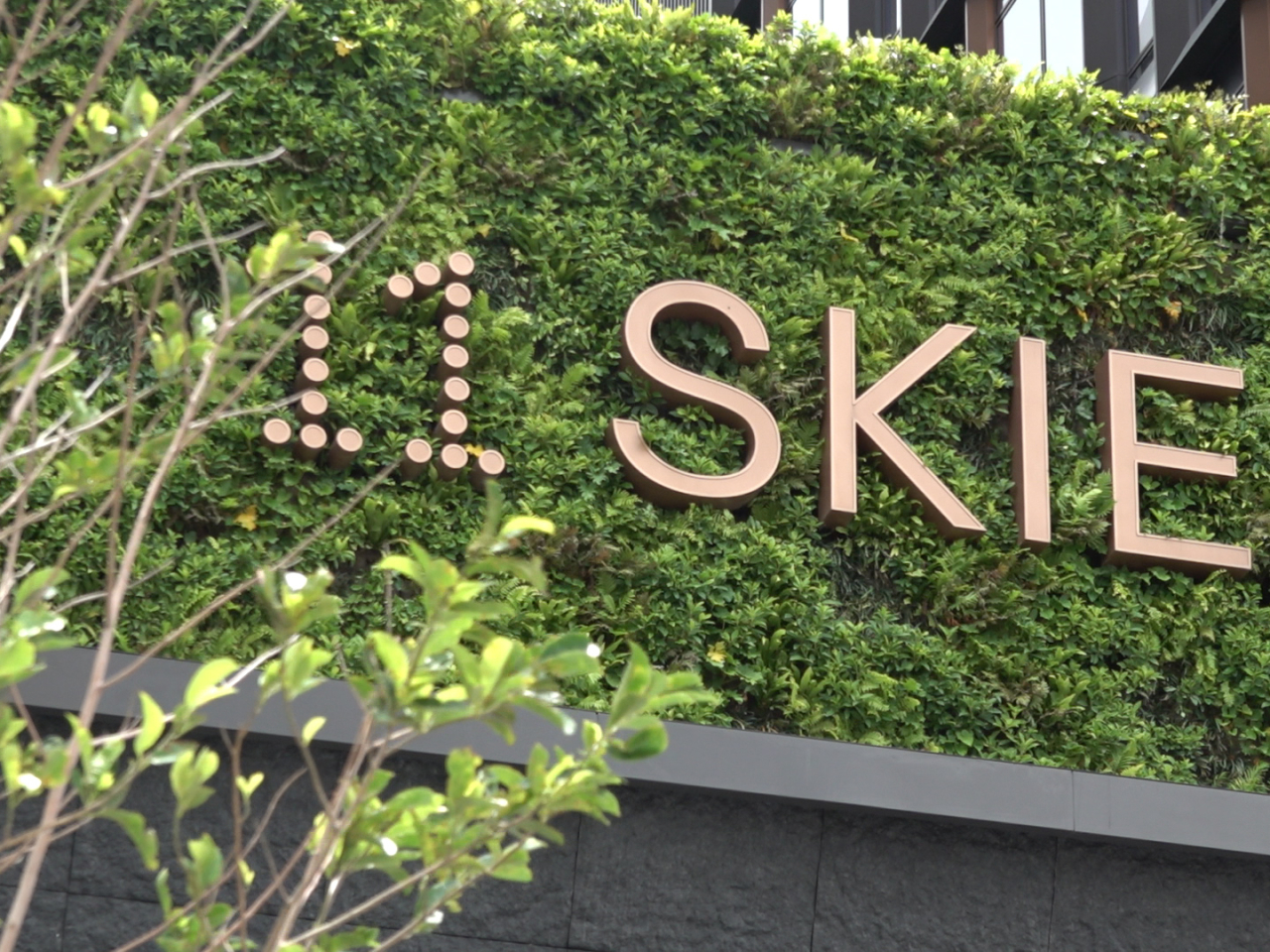 Mable Chan has called for high-end tourism offerings with experiential activities at 11 Skies. Photo: RTHK