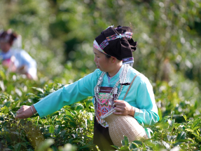 'Rural development a vast opportunity for HK firms'