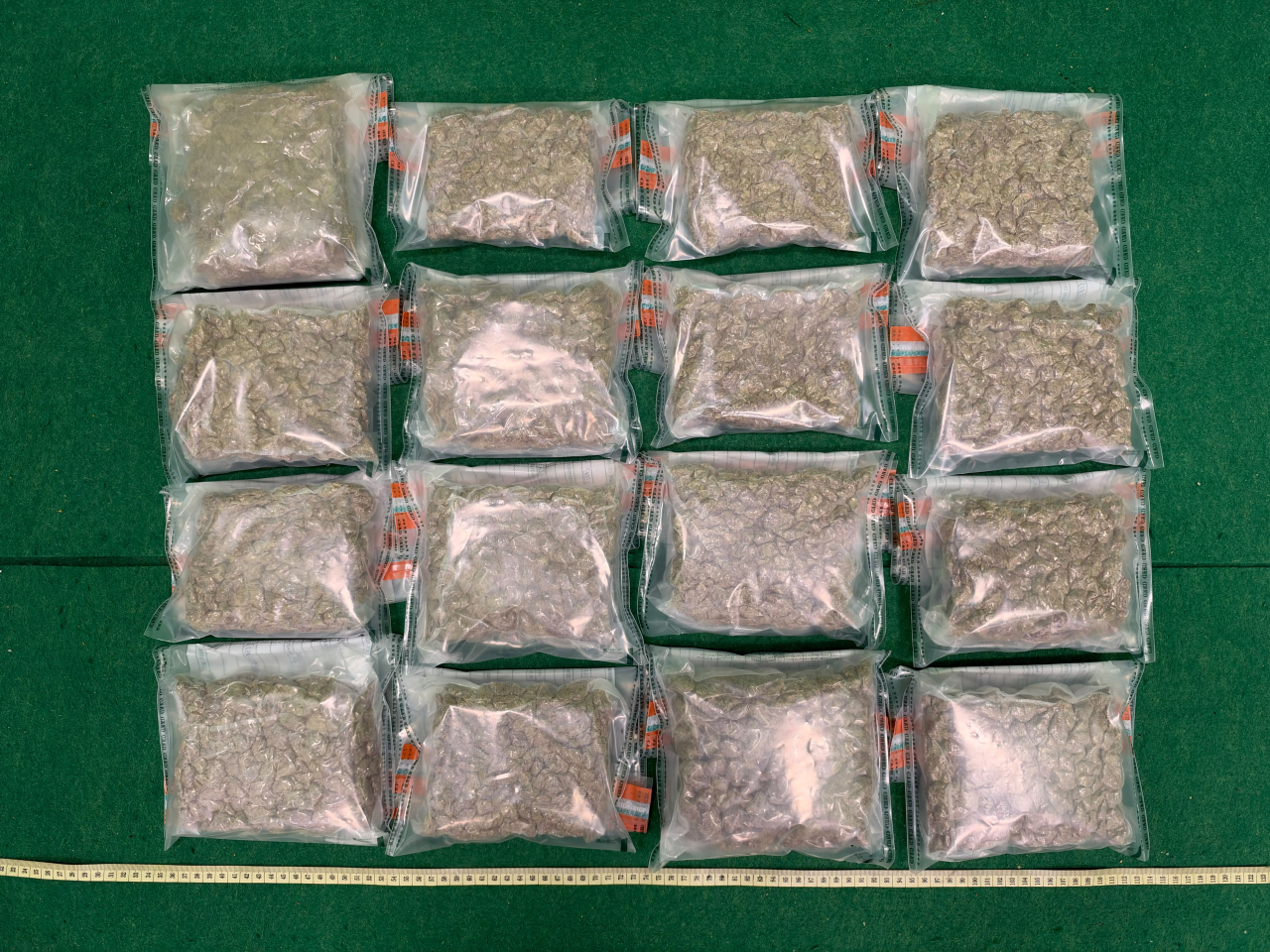海關檢獲的懷疑大麻花。（政府新聞處）