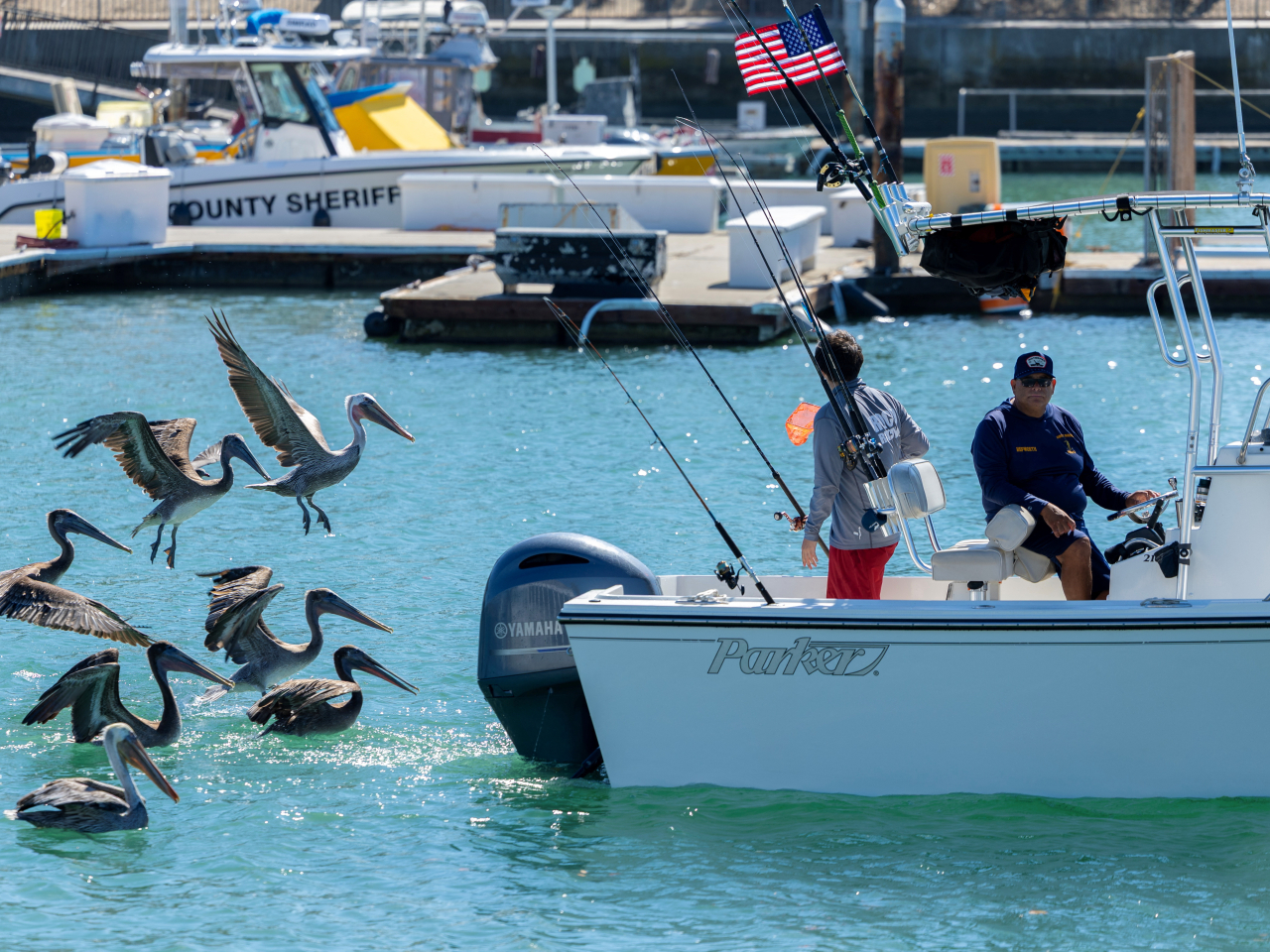A wide range of exotic species have appeared off California's shores since an unusually strong El Nino arrived this year. File photo: Reuters