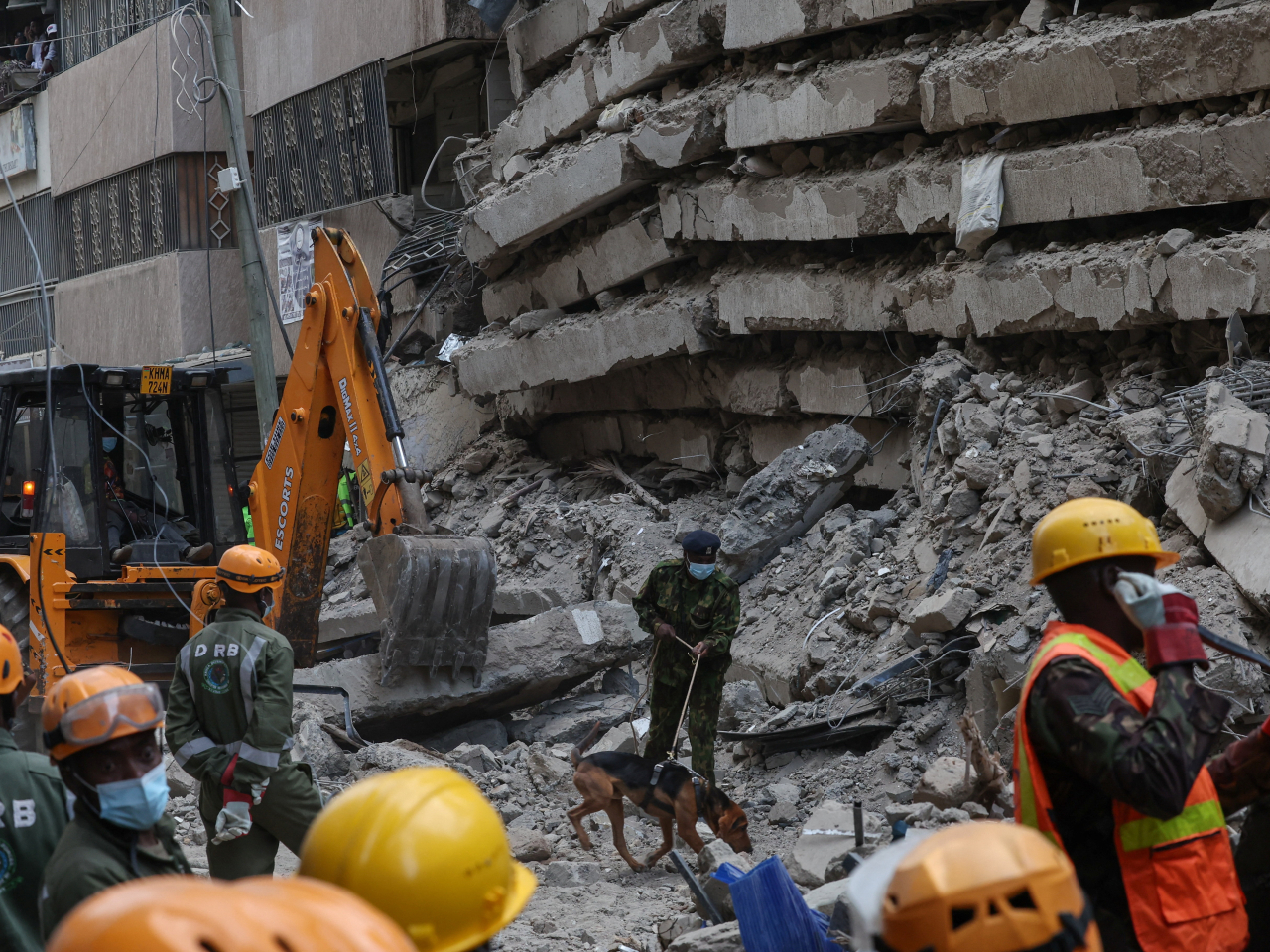 A member of the military with a dog works at the site of a building collapse in Eastleigh, Nairobi, Kenya. Photo: Reuters